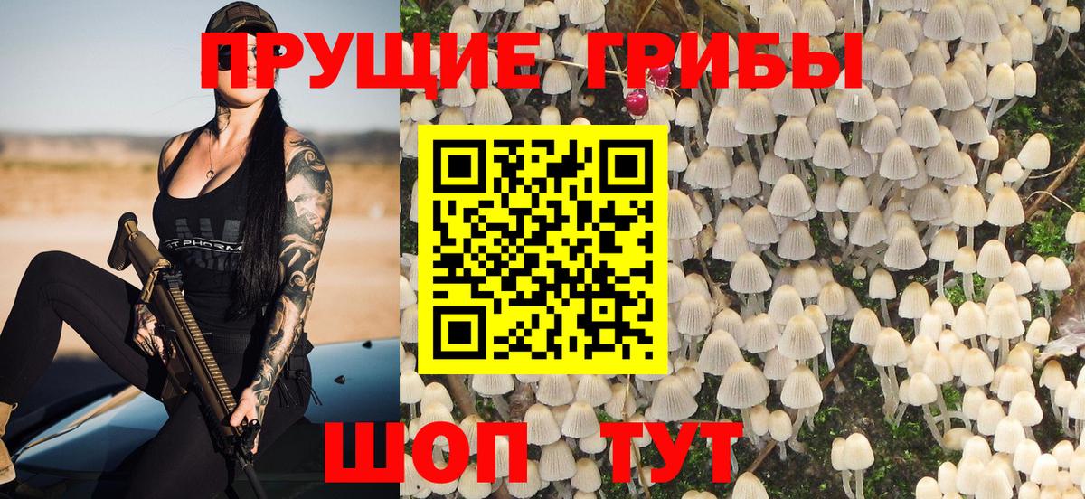Псилоцибиновые грибы Cubensis  Вход с VPN  Каспийск  Галлюциногенные грибы Cubensis 