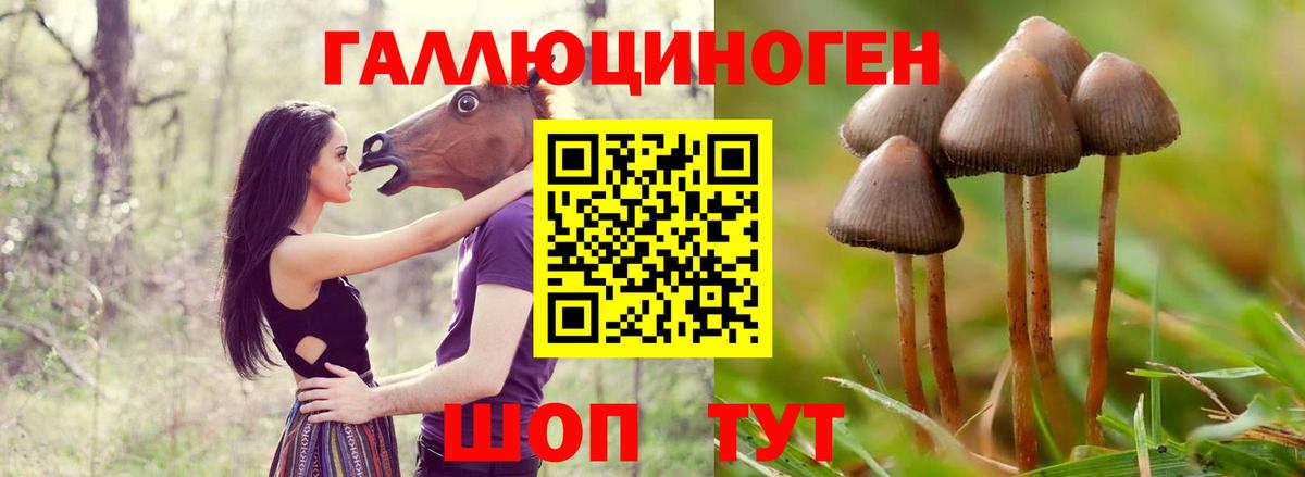 Галлюциногенные грибы MAGIC MUSHROOMS Каспийск